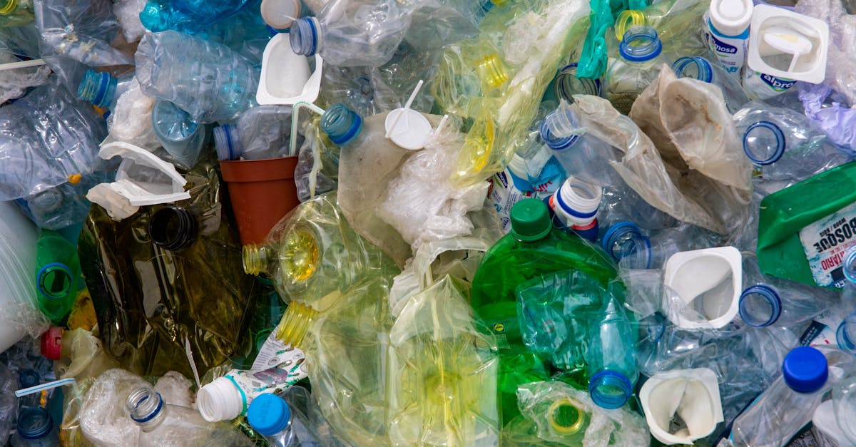 découvrez l'impact croissant de la pollution plastique sur notre planète. apprenez comment les déchets plastiques affectent nos écosystèmes, la faune et la santé humaine, tout en explorant des solutions durables pour réduire cet enjeu environnemental majeur.