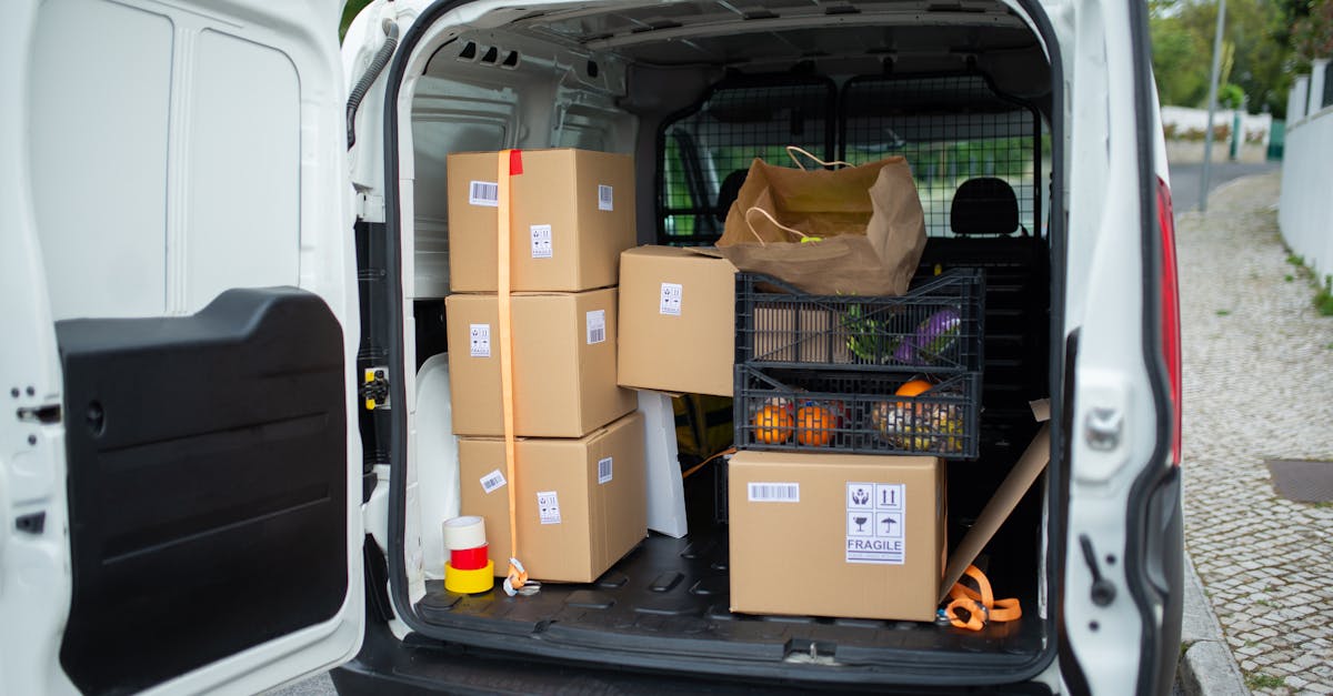 découvrez comment la transition durable transforme notre société en alliant innovation, respect de l'environnement et responsabilité sociale. explorez des stratégies pour un avenir plus vert et équitable.