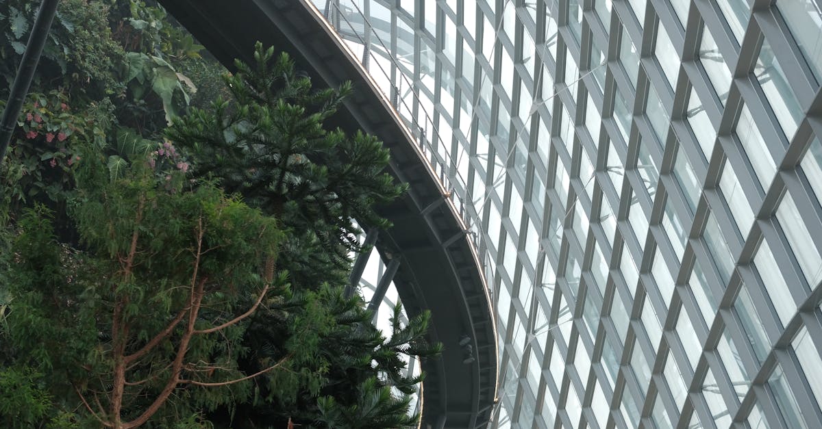 découvrez les innovations durables qui transforment notre avenir : des technologies écologiques aux pratiques responsables, explorez comment ces avancées préservent notre planète tout en favorisant un développement durable.