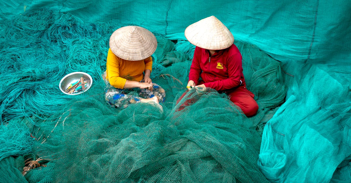 découvrez des pratiques durables pour préserver l’environnement, optimiser vos ressources et adopter un mode de vie responsable. conseils, actions concrètes et solutions pour un avenir plus respectueux de la planète.