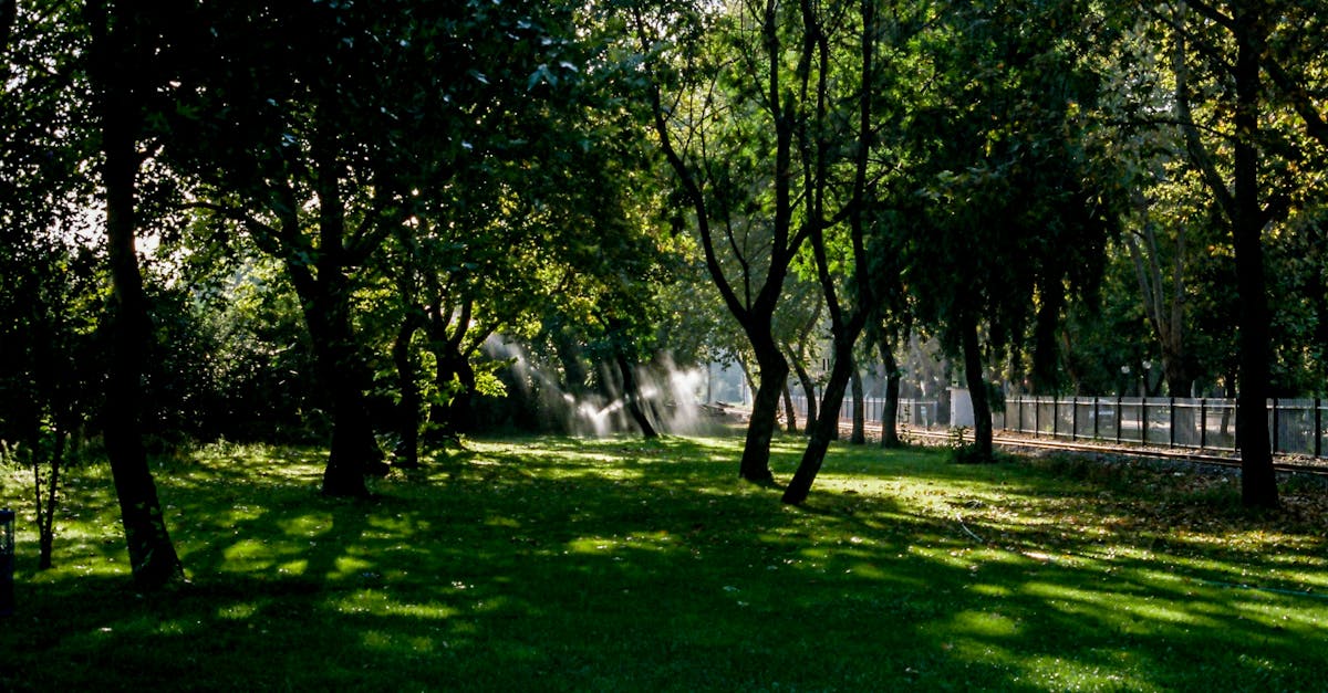 découvrez les politiques climatiques essentielles visant à lutter contre le changement climatique. analyse des stratégies innovantes pour réduire les émissions, protéger la biodiversité et favoriser un avenir durable. informez-vous sur les initiatives gouvernementales et les actions concrètes pour un impact positif sur notre planète.