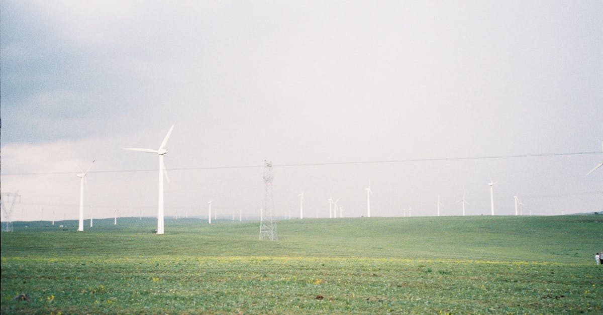 découvrez comment la transition durable transforme notre avenir en intégrant des solutions écologiques et responsables, tout en favorisant l'innovation et le développement durable.