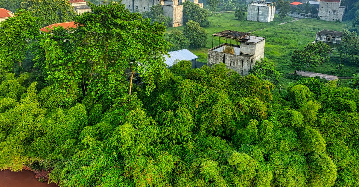 découvrez comment réaliser une transition durable grâce à des pratiques éco-responsables et des innovations. apprenez des stratégies clés pour adopter un mode de vie respectueux de l'environnement et contribuer à un avenir plus vert.