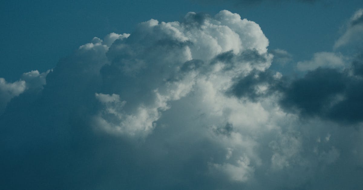 découvrez les politiques climatiques essentielles qui façonnent notre avenir. explorez les initiatives, les engagements internationaux et les stratégies révolutionnaires mises en place pour lutter contre le changement climatique et préserver la planète pour les générations futures.