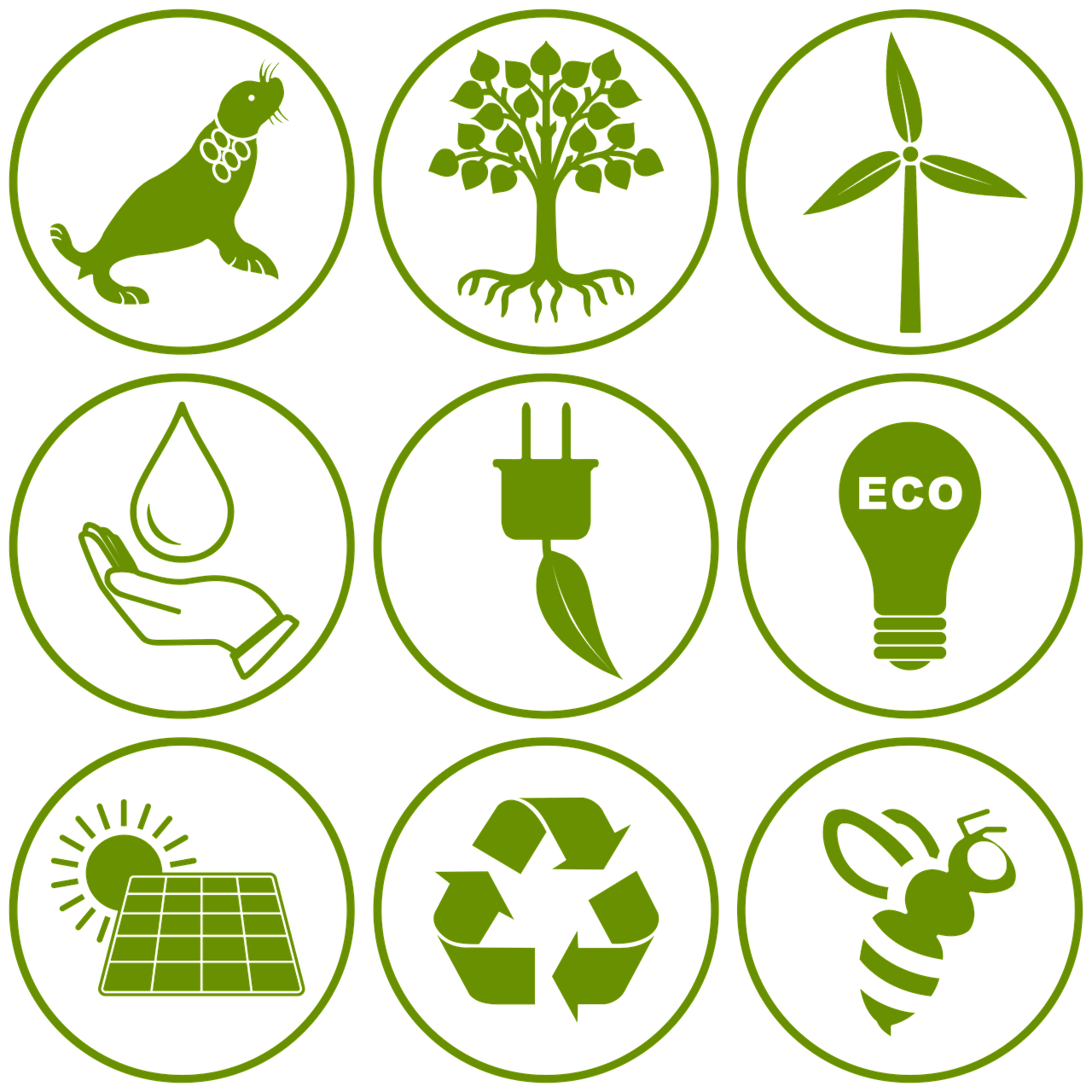 Conserver et restaurer tout en préservant notre environnement : vers de nouvelles pratiques adaptées !