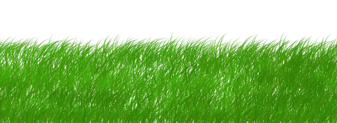 Le programme ‘Bungalow’ soutient les hôteliers des régions ultramarines dans leur démarche de transition énergétique et de réduction de l’empreinte carbone