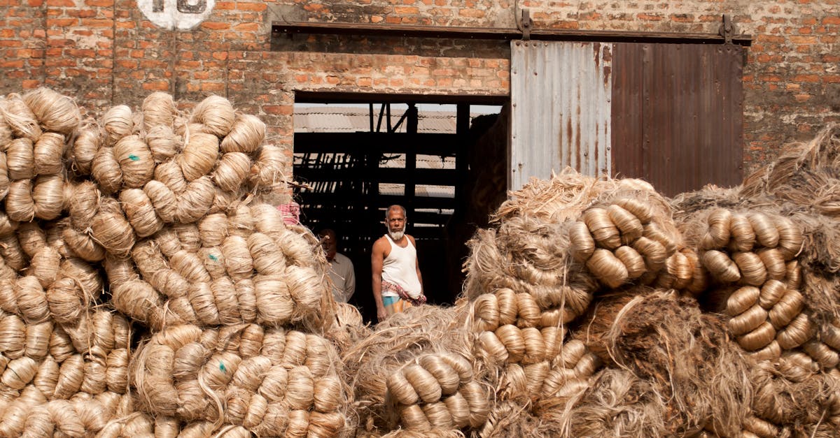 Économie respectueuse de l’environnement : vers un avenir durable