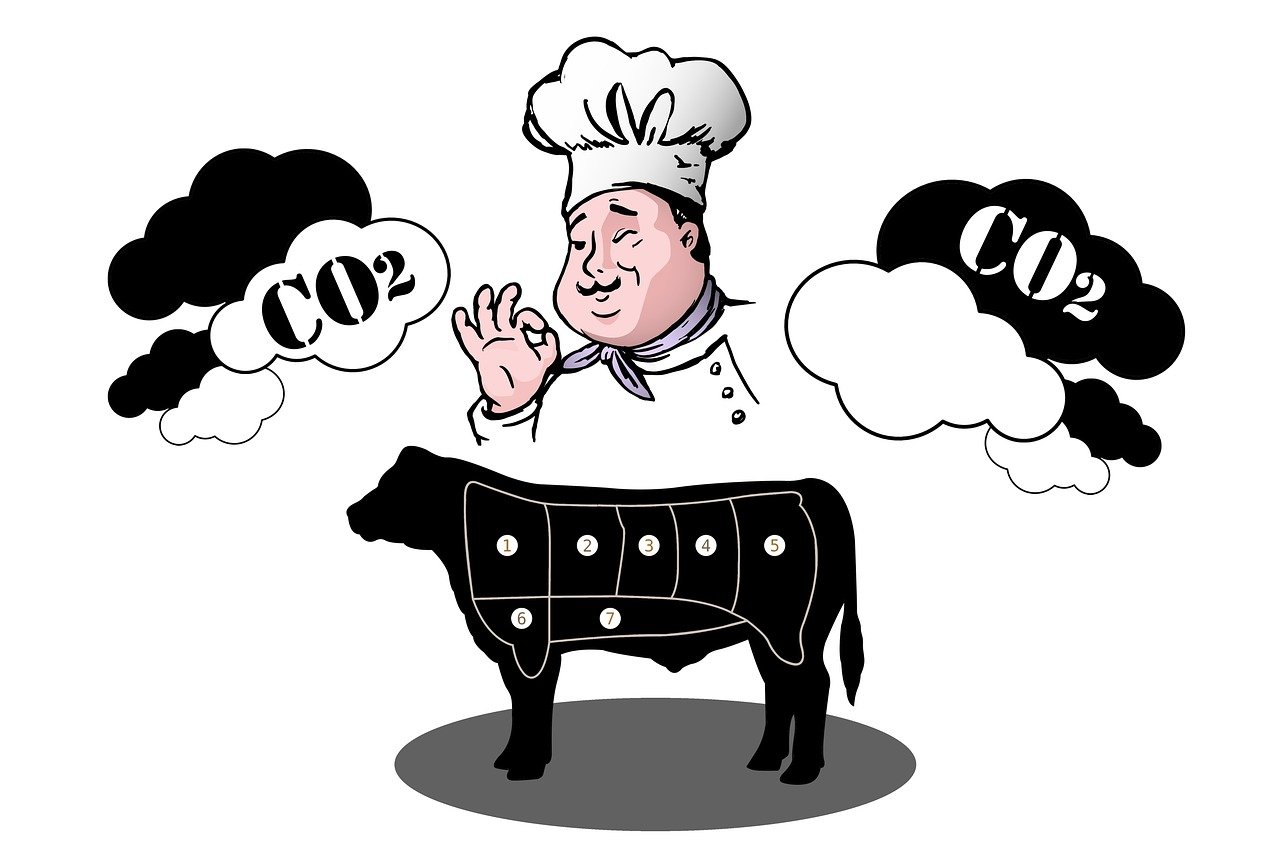 Quels conseils pour optimiser son bilan carbone au quotidien ?