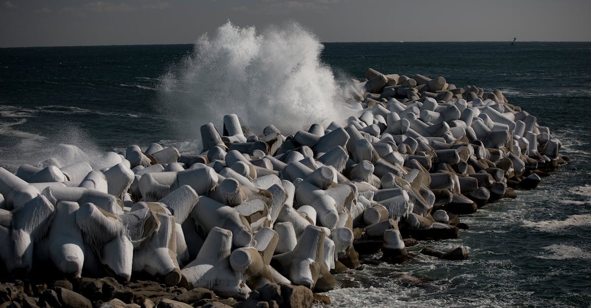 Protection climatique : 5 stratégies pour un avenir durable