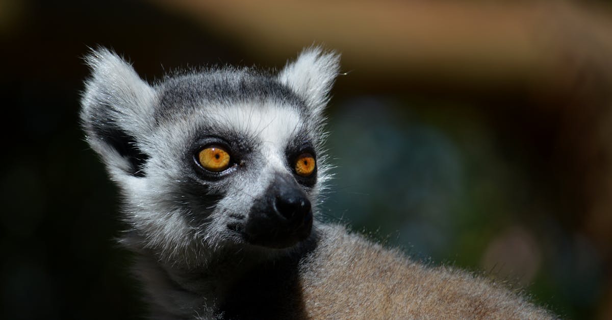 Changement de comportement : 5 stratégies efficaces pour transformer sa vie