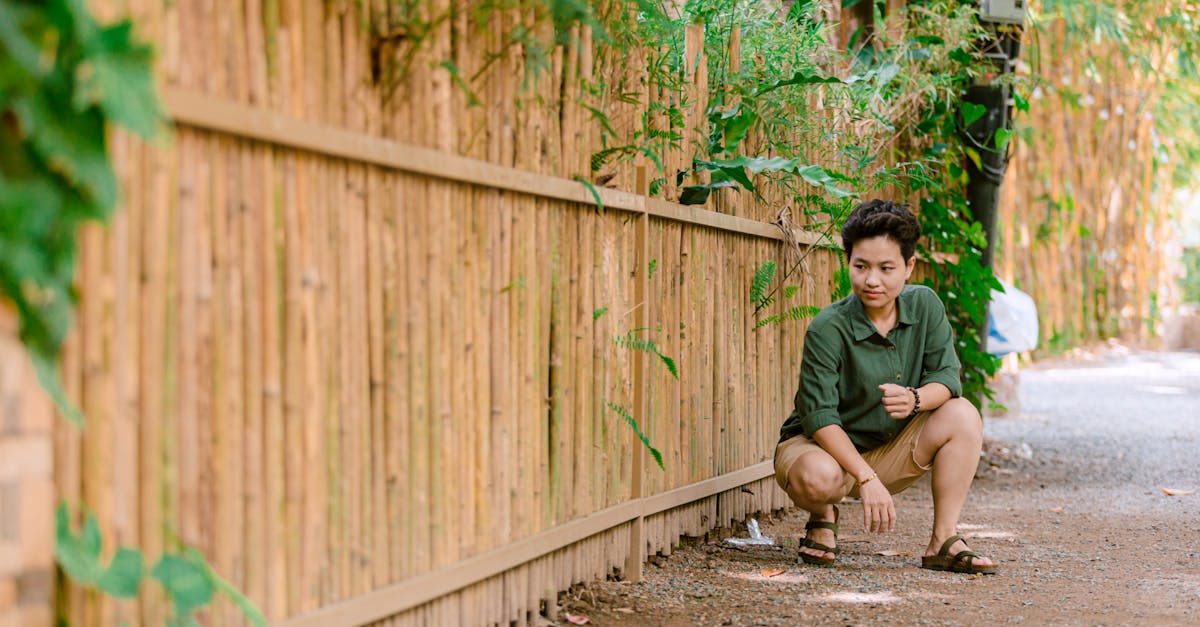 Environnement durable : Vers une harmonie entre développement et écologie