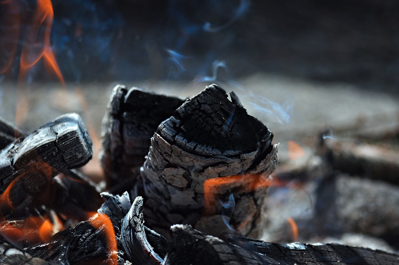 Bilan carbone : quelles ressources pour se former ?