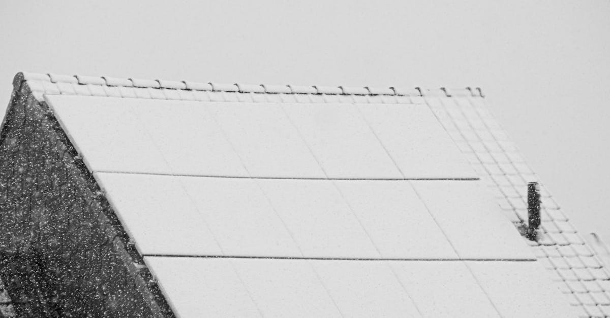 Adaptation climatique : stratégies innovantes pour faire face aux enjeux environnementaux