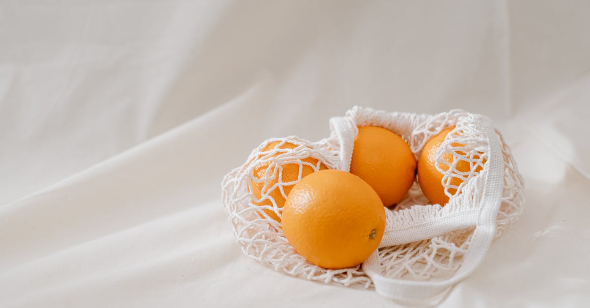 Révolution verte : Vers un avenir durable et respectueux de l’environnement