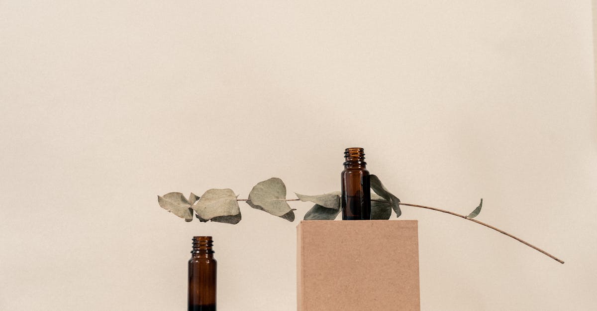 Plateformes écologiques : Comment choisir celles qui respectent l’environnement