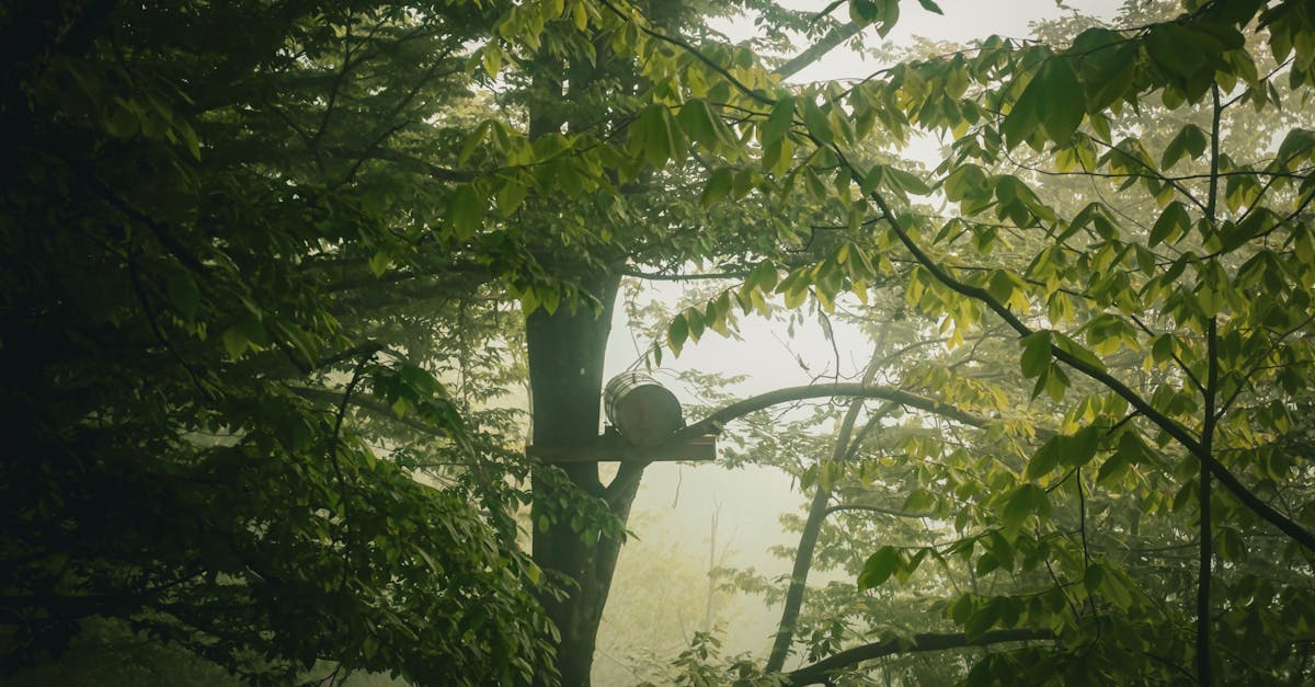 Règlementation environnementale : enjeux et défis dans la lutte contre le changement climatique