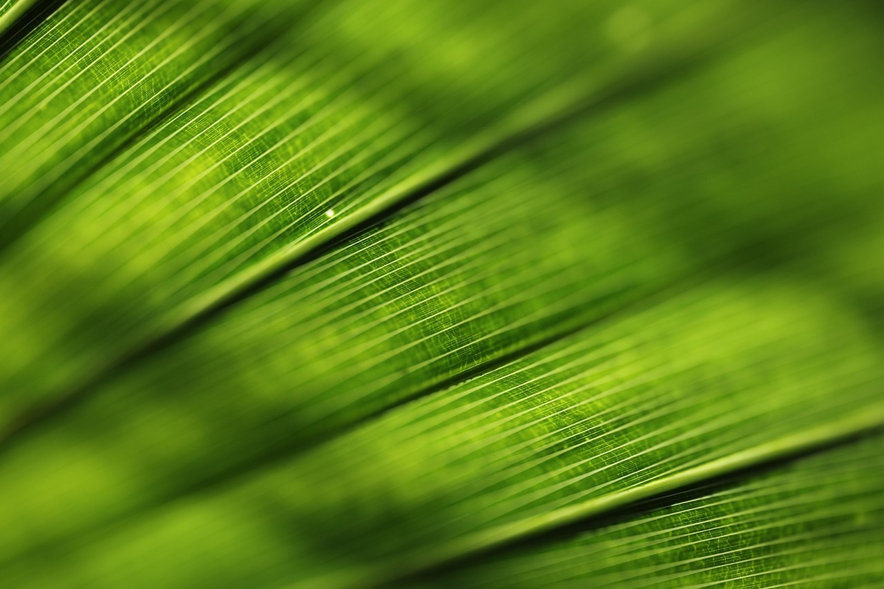 Les agriculteurs attendent toujours une prime verte pour leurs efforts en faveur de l’amélioration du bilan carbone
