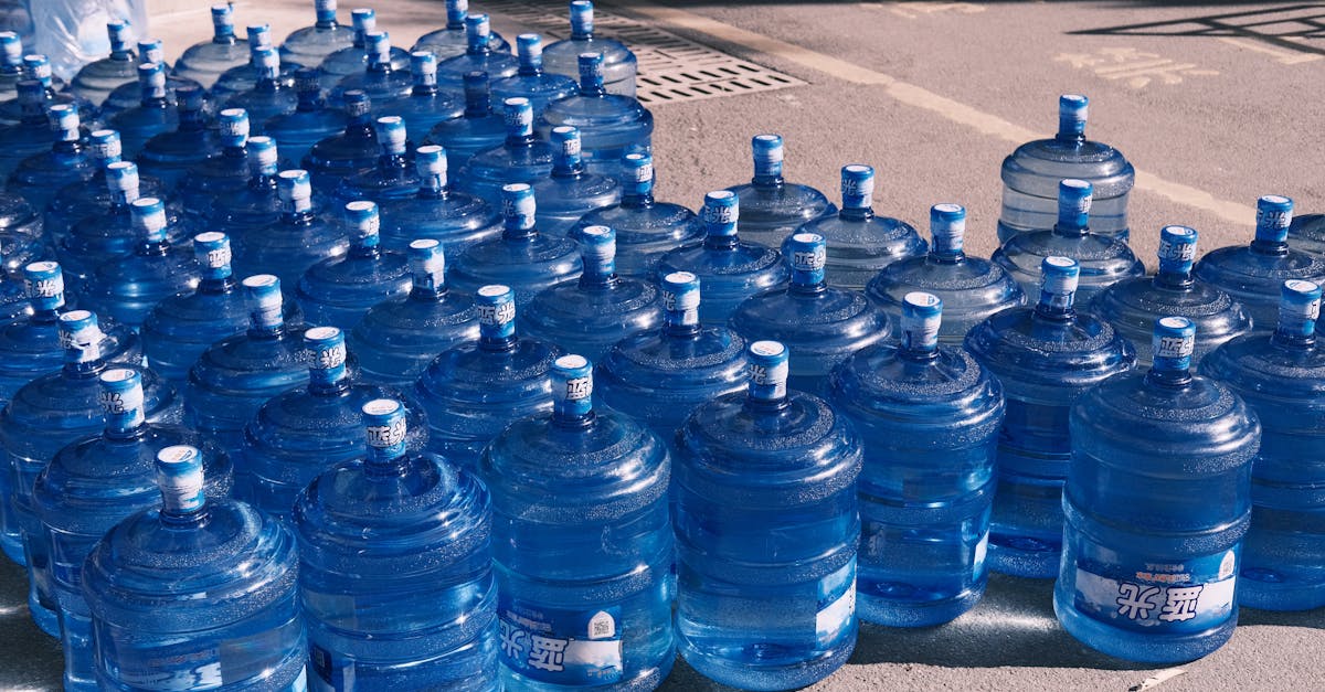 Modèles de consommation durables : vers un avenir plus respectueux de l’environnement