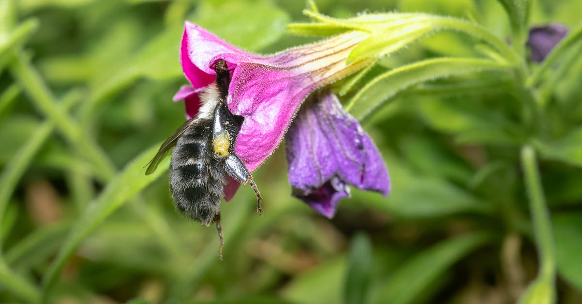 Santé et environnement : l’impact de notre mode de vie sur la biodiversité
