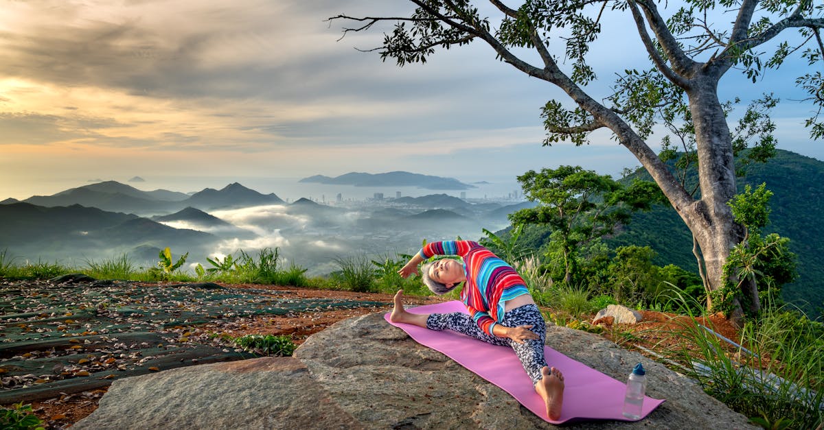 Renouvellement énergétique : Vers un avenir durable et responsable