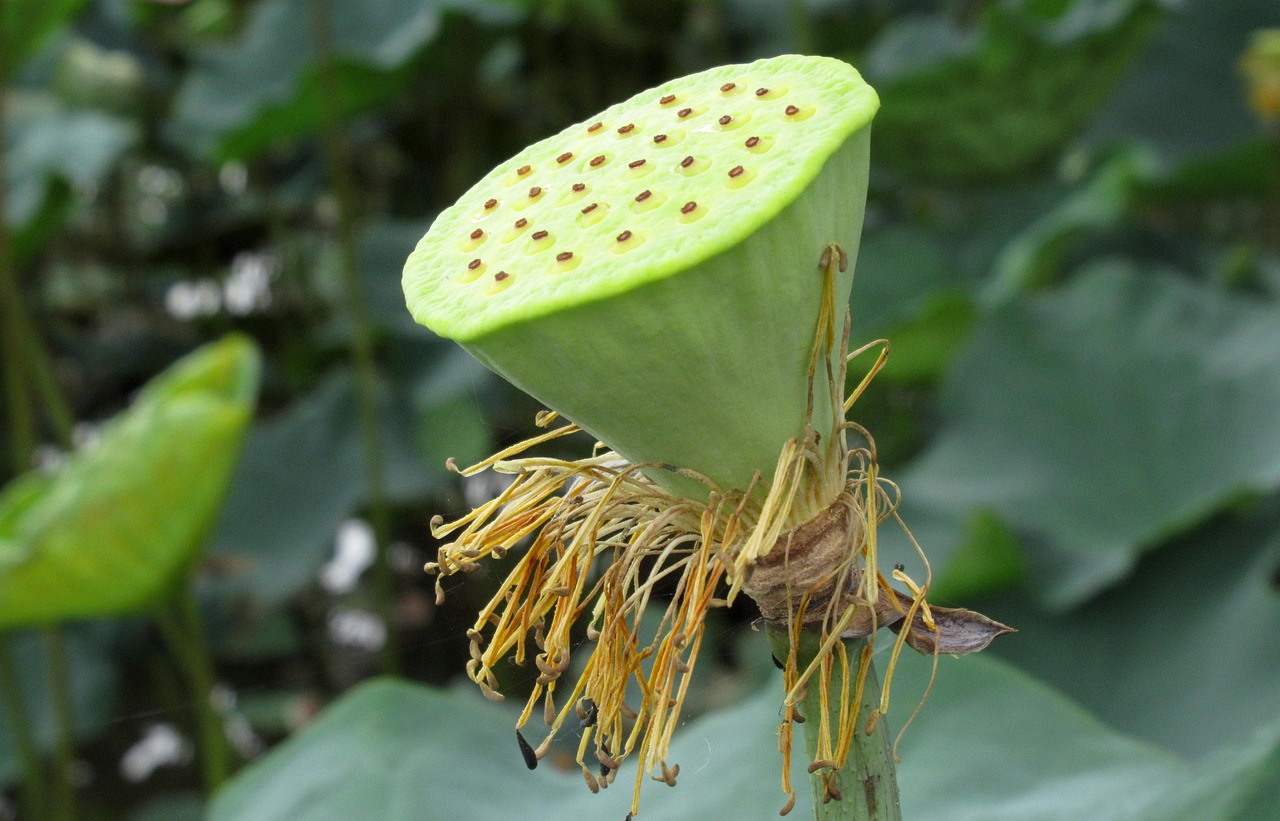 Comment les entreprises peuvent réduire leur empreinte carbone ?