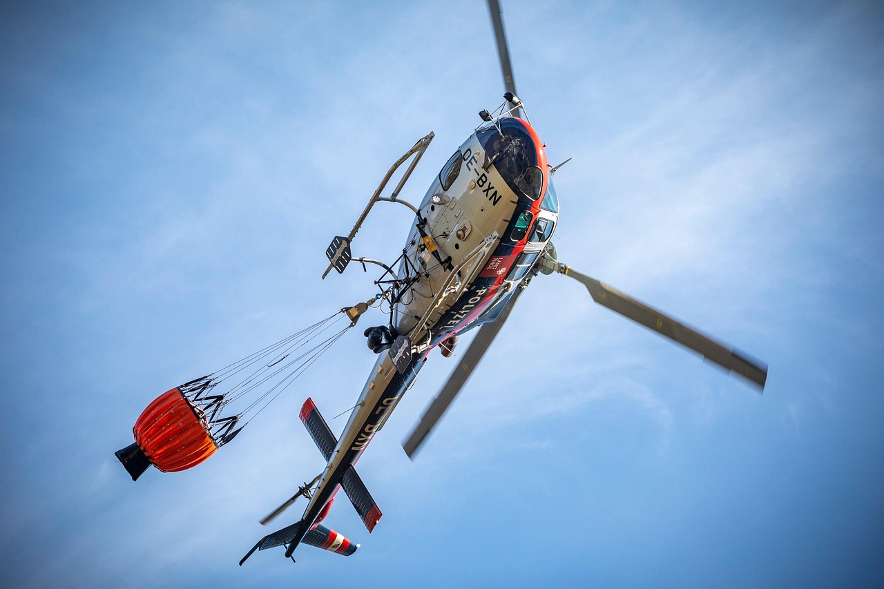 L’importance de la biodiversité dans la lutte contre le climat