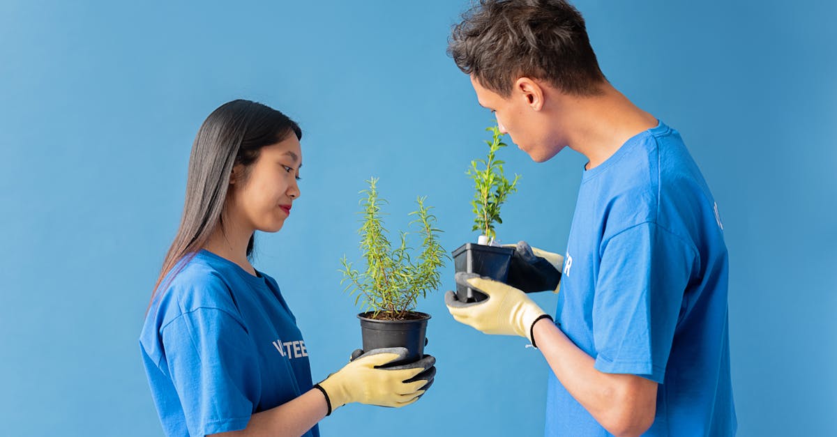 Initiative verte : Comment les actions éco-responsables transforment notre quotidien