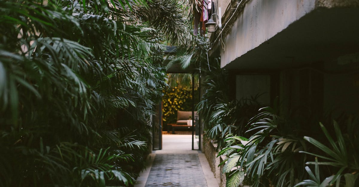 Conception durable : 5 principes essentiels pour un avenir éco-responsable