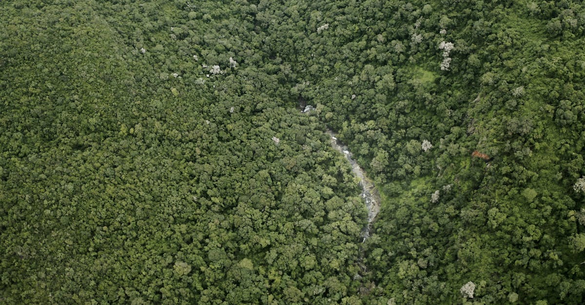 Habitat durable : 5 clés pour construire un avenir éco-responsable