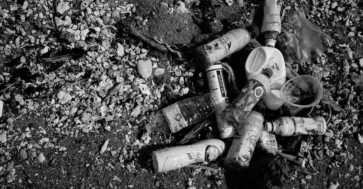 Mesurer l’empreinte écologique : outils et méthodes pour évaluer votre impact environnemental