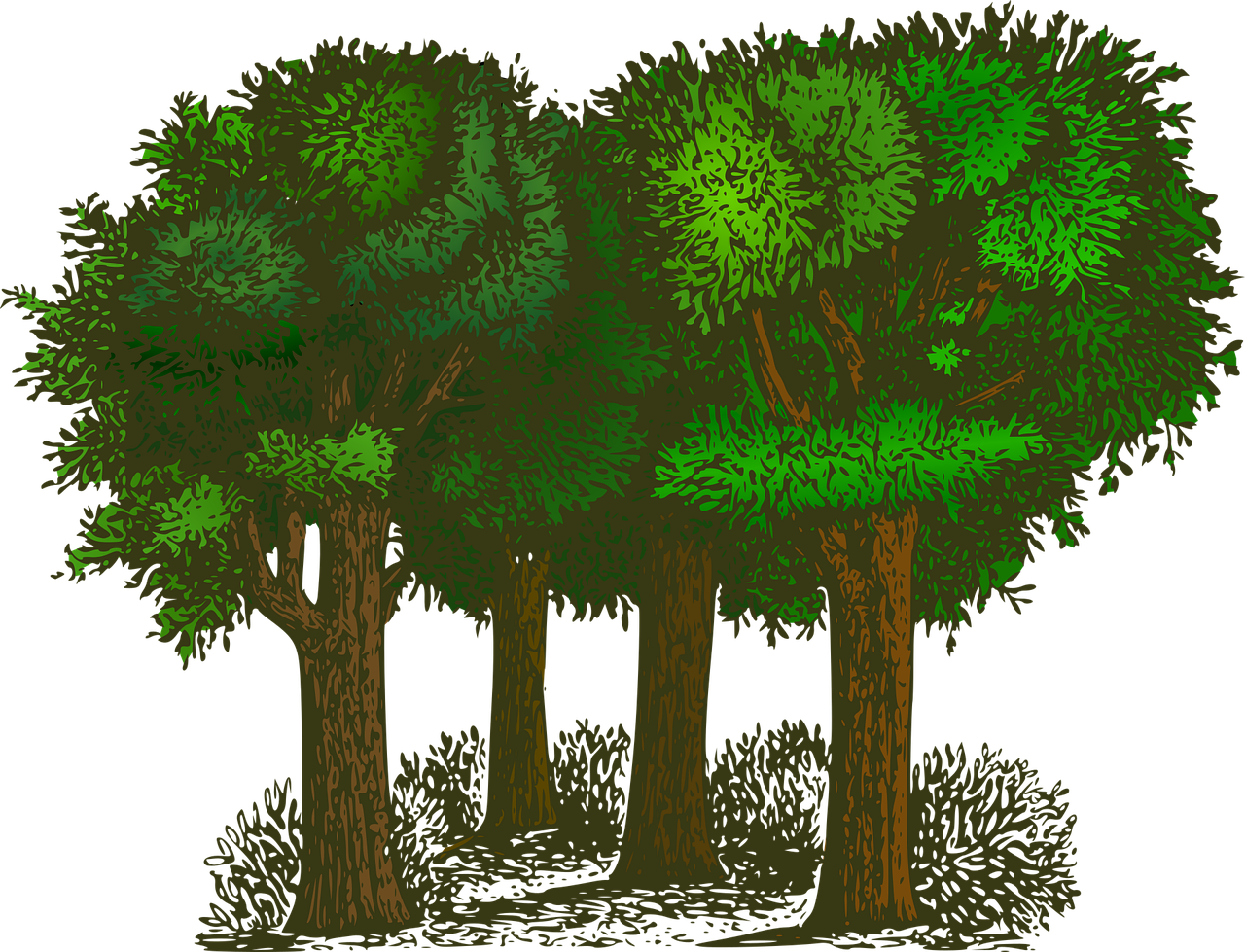 Du 4 au 22 mai, l’agglomération de Dieppe accueille le grand retour du JEDI : le festival jeunesse dédié à l’écologie et à l’engagement !