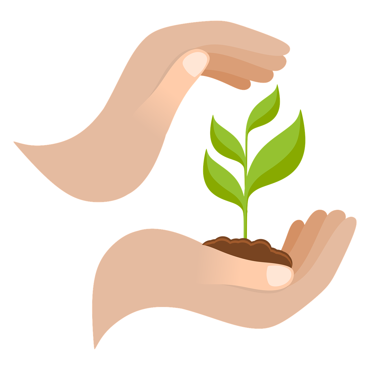 MMG Copper : Vers une Croissance Durable à l’Horizon 2026